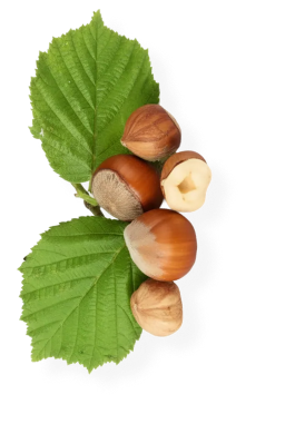 50 Count Hazelnut Syrup Packets for Coffee & Drinks, To-Go Single Serve Flavoring, 15mL, 58Peaks